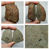Lot of NWA Ordinary Chondrite Meteorites - Order (143935193864)