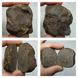 Lot of NWA Ordinary Chondrite Meteorites - Order (143935193864)