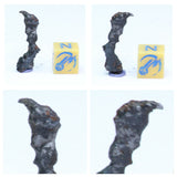 Lot of Taza NWA 859 Iron IAB Meteorite + Unclassified Chondrites - Order 143935996173