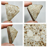 Lot of different Meteorites - Order 143935671270