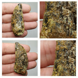 Lot of Decorative Fossils - 143936022763 Order