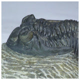 Lot of Meteorites - Order 143937890303