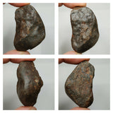 Lot of Meteorites & Minerals - Order 143935445828