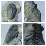 R106 + R96 + L116 + L117 - Order 143938042704