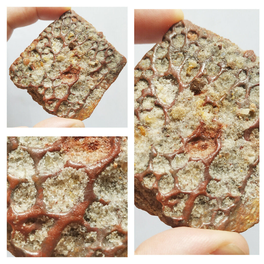 R27 - Beautiful 2.95 Inch Cretaceous Crocodile Dermal Scute Bone KemKem Beds(143938345786)