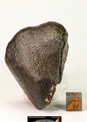 09016 - Almost Complete NWA Unclassified Ordinary Chondrite Meteorite 124.6 g (143947419060)