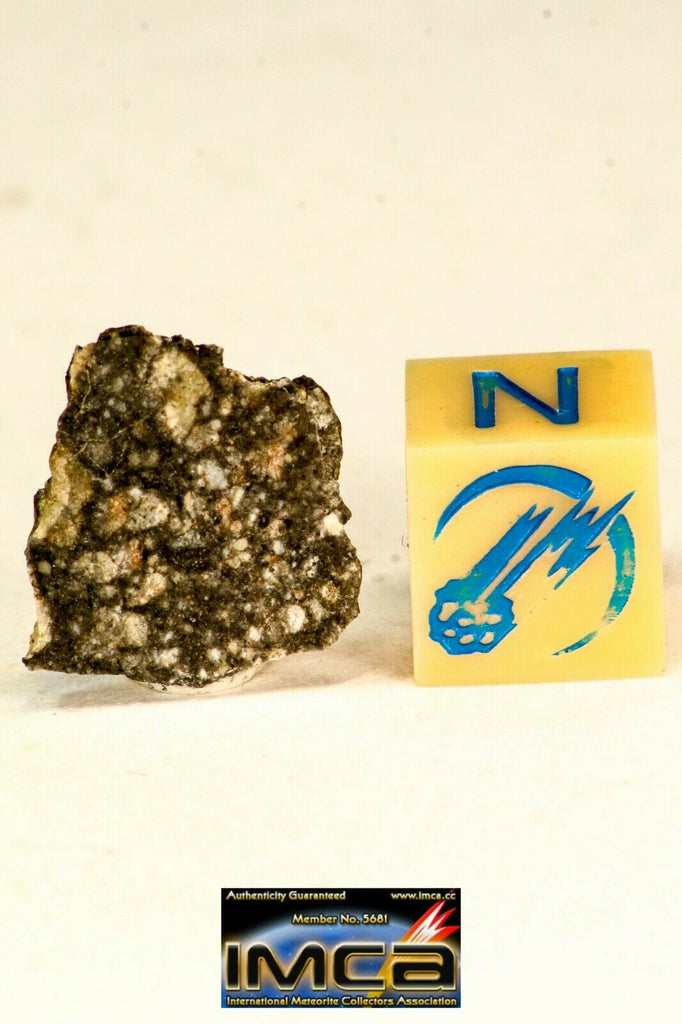 09185 - Lunar Meteorite "NWA 12870" 0.78 g (Feldspathic Breccia) Thin Section(143947384057)