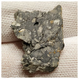 10077 - Lunar Meteorite "NWA 13859" Feldspathic Breccia (Troctolite Rich) 2.26g Slice