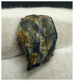 10129 - Top Rare Ouranosaurus 0.90'' Hadrosaurid Dinosaur Tooth Cretaceous Elrhaz Fm