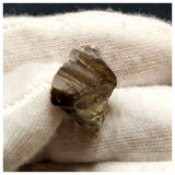 10130 - Top Rare Ouranosaurus 0.78'' Hadrosaurid Dinosaur Tooth Cretaceous Elrhaz Fm