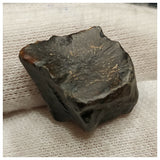 10132 - Top Rare Ouranosaurus 0.59'' Hadrosaurid Dinosaur Tooth Cretaceous Elrhaz Fm