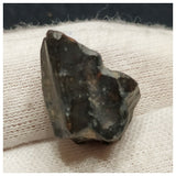 10132 - Top Rare Ouranosaurus 0.59'' Hadrosaurid Dinosaur Tooth Cretaceous Elrhaz Fm