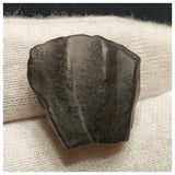 10134 - Top Rare Ouranosaurus 0.70'' Hadrosaurid Dinosaur Tooth Cretaceous Elrhaz Fm