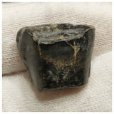 10137 - Top Rare Ouranosaurus 0.70'' Hadrosaurid Dinosaur Tooth Cretaceous Elrhaz Fm