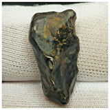 10511 - New Pallasite Meteorite "NWA 14208" (Provisional) 8.15g