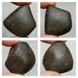 N4, N13 & T108 2 Complete Oriented NWA 859 TAZA Iron Plessitic Octahedrite Meteorites + New NWA 13472 LL4-6 Ordinary Chondrite Meteorite 30g - Mohammed Order