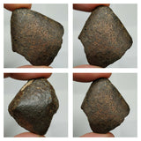 N4, N13 & T108 2 Complete Oriented NWA 859 TAZA Iron Plessitic Octahedrite Meteorites + New NWA 13472 LL4-6 Ordinary Chondrite Meteorite 30g - Mohammed Order