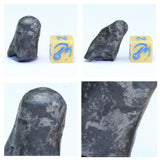 N3, N2 & N1 Complete Oriented NWA 859 TAZA Iron Plessitic Octahedrite Meteorites - ZULKARAMI Order