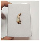T62 - Top Rare Unusual Upper Cretaceous Pterosaur Claw KemKem Beds Ifezouane Fm