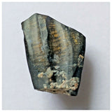 S13 - Ouranosaurus nigeriensis Basal Hadrosaur Dinosaur Tooth Cretaceous Elrhaz Fm