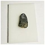 J28- Rare Eocarcharia dinops Dinosaur Tooth - Cretaceous Elrhaz Fm Tenere Desert