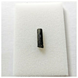 J80 - Top Rare Nigersaurus taqueti Sauropod Dinosaur Tooth Cretaceous Elrhaz Fm