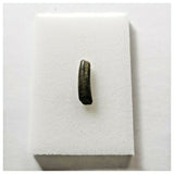 J79 - Top Rare Nigersaurus taqueti Sauropod Dinosaur Tooth Cretaceous Elrhaz Fm