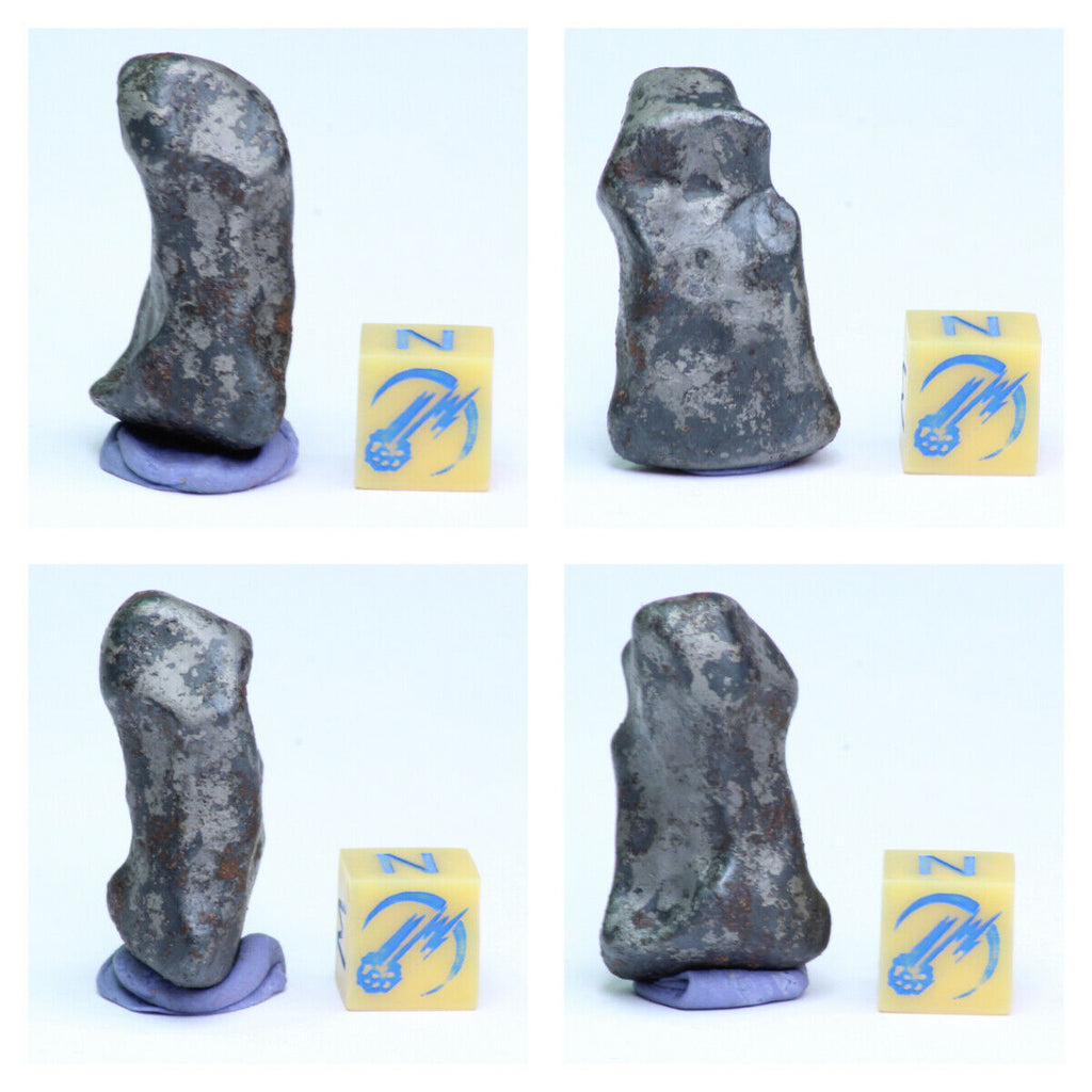 N3, N2 & N1 Complete Oriented NWA 859 TAZA Iron Plessitic Octahedrite Meteorites - ZULKARAMI Order