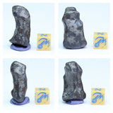 N3, N2 & N1 Complete Oriented NWA 859 TAZA Iron Plessitic Octahedrite Meteorites - ZULKARAMI Order