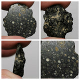 Lot of Meteorites - Order Laurent