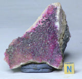 Lot of Meteorites - Order Laurent