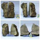 L80 & L78 NWA Ordinary Chondrite Meteorites + Scyphocrinites - Cottle Order