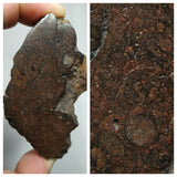 Lot of Meteorites - Order Laurent