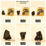 "Tarda" Carbonaceous Chondrite C2 Ungrouped. Order Takashi