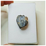 S37 - Ouranosaurus nigeriensis Basal Hadrosaur Dinosaur Tooth Cretaceous Elrhaz Fm