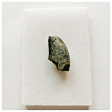 J47- Rare Eocarcharia dinops Dinosaur Tooth - Cretaceous Elrhaz Fm Tenere Desert