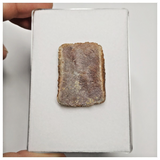 T237 - Nicely Preserved Upper Cretaceous Crocodile Dermal Scute Bone KemKem Beds