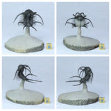 L52 - Finest Flying Prepared 2.36'' Ceratarges sp Middle Devonian Trilobite - Tommy Order