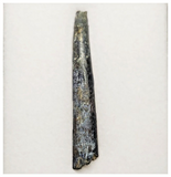 T36 - Top Rare Ornithocheirid Pterosaur Tooth - Lower Cretaceous - Elrhaz Fm
