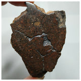 Lot of Meteorites - Order Laurent