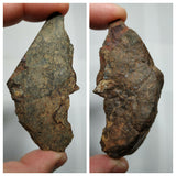 Lot of Meteorites - Order Laurent