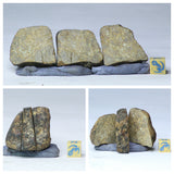 Lot of Meteorites - Order Laurent