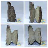 Lot of Meteorites - Order Laurent