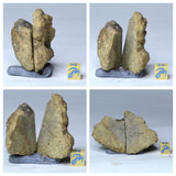 Lot of Meteorites - Order Laurent