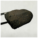 13018 M6 - New "NWA 14740" (Provisional) Carbonaceous Chondrite C3 Ung Meteorite 9.9g