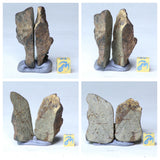 Lot of Meteorites - Order Laurent