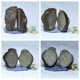 L76/L69/L72/L73 NWA Chondrite Meteorites - Dirk Order