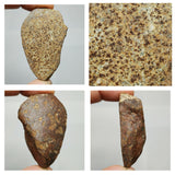 Lot of Different Meteorites: Unclassified NWA Chondrites, Taza NWA 859 - Order (143935394007)