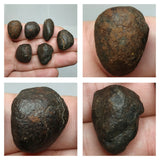 Lot of Different Meteorites: Unclassified NWA Chondrites, Taza NWA 859 - Order (143935394007)