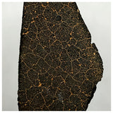 13019 M1 - New "NWA 14740" (Provisional) Carbonaceous Chondrite C3 Ung Meteorite 13.5g